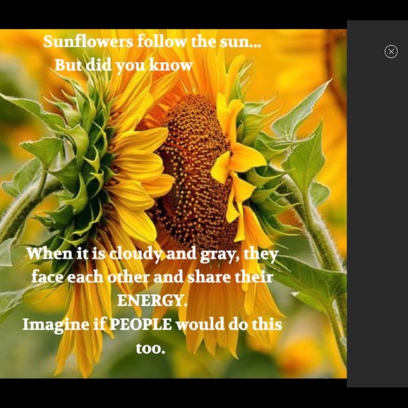 Please Read ☝️☝️☝️☝️☝️☝️☝️ - Picture 7 of 9